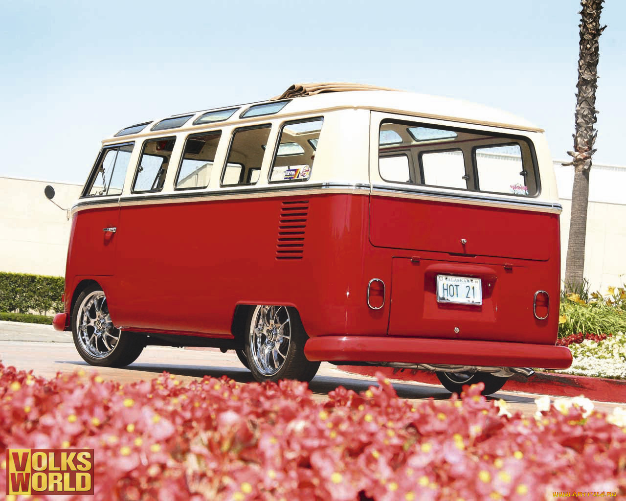 , custom, van`s